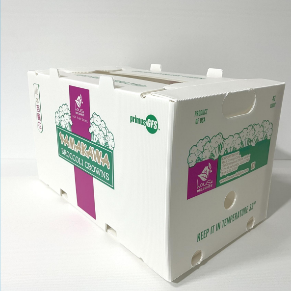 Hollow Board Material For Vegetable And Fruit Packaging Turnover Boxes